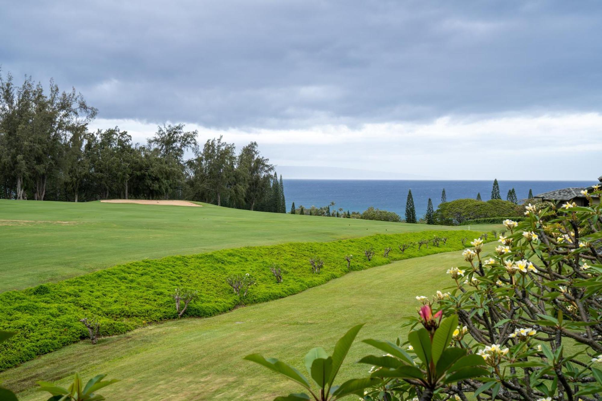 Kapalua Villas Maui Lahaina Buitenkant foto